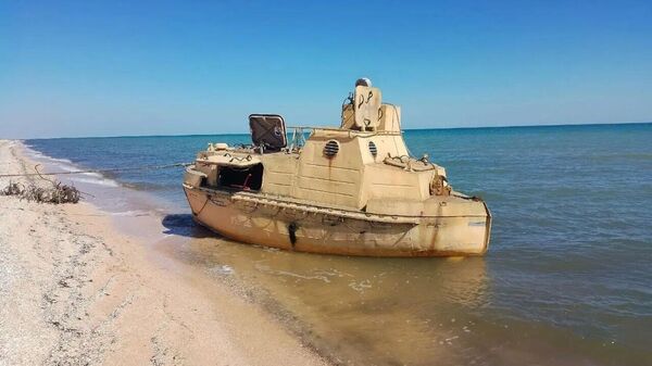 В акватории Азовского моря потерпело крушение судно типа Волго-Балт, следовавшее с грузом пшеницы. Экипаж покинул борт и смог добраться до берега Херсонской области - Sputnik Армения