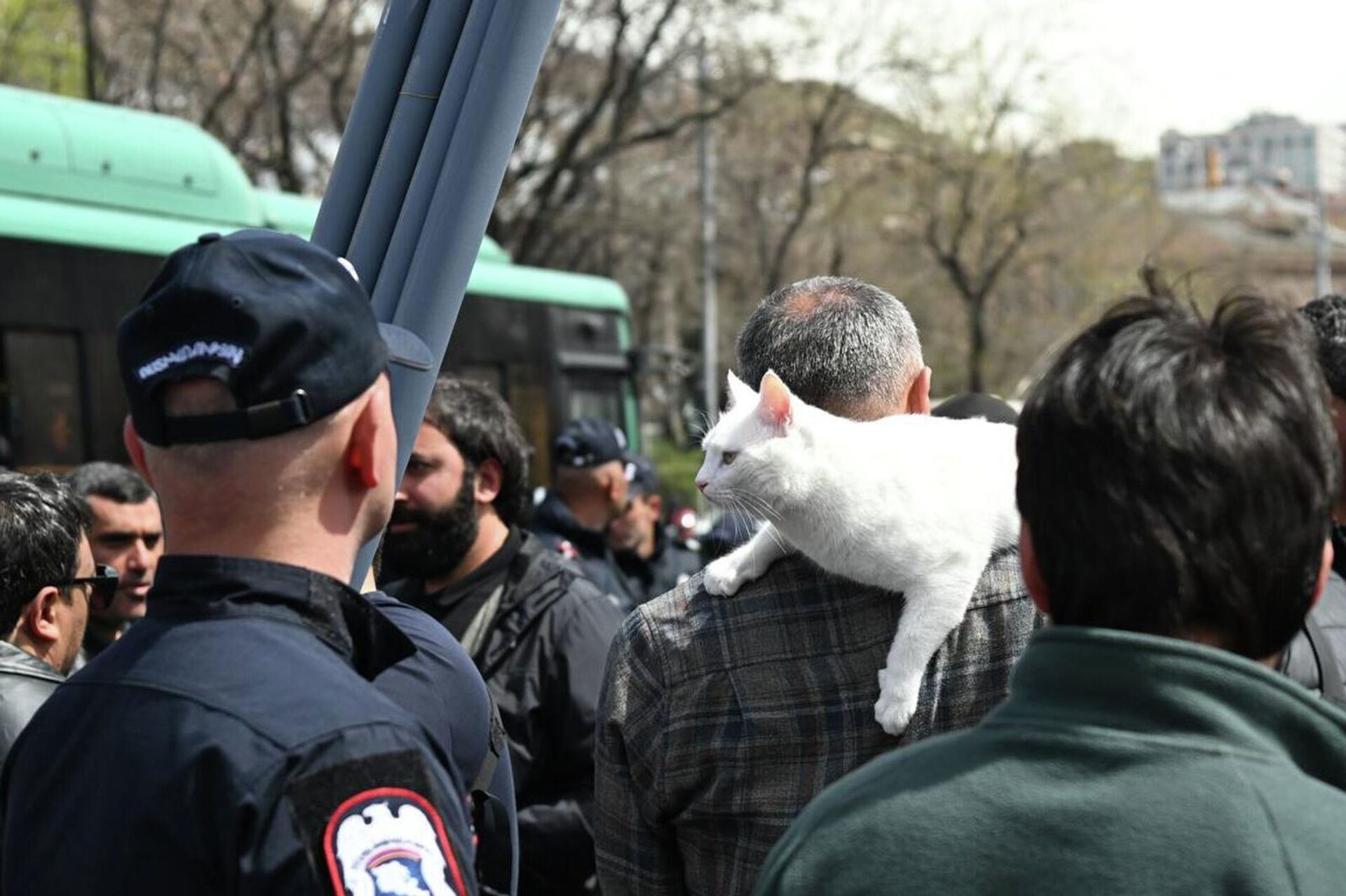 Участник акции в поддержку партии Сильная Армения с кошкой на плече (7 апреля 2026). Еревaн - Sputnik Армения, 1920, 07.04.2026