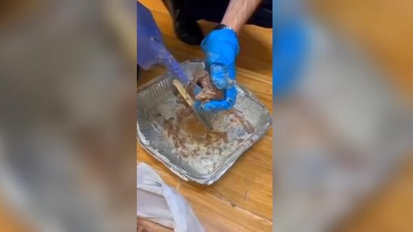 Մարիխուանան թաքցրել են եփած մսի ոսկորների մեջ ու փորձել «Արմավիր» ՔԿՀ մտցնել - Sputnik Արմենիա