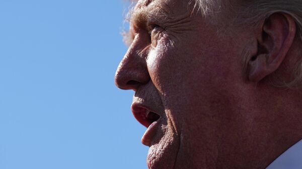 Президент США Дональд Трамп - Sputnik Армения