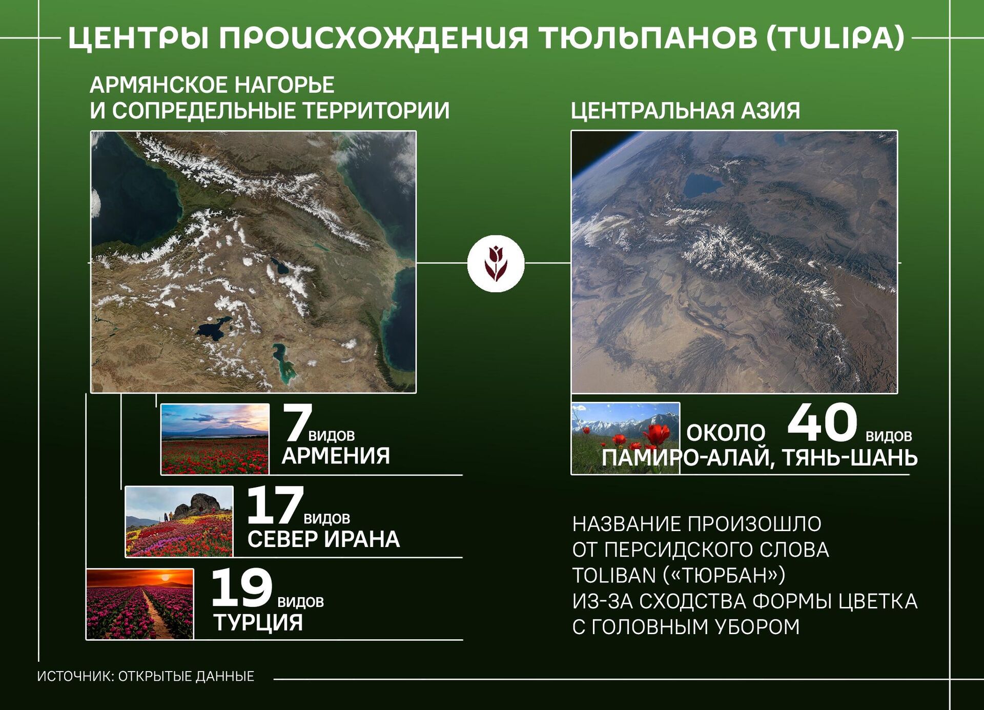 Центры происхождения тюльпанов (Tulipa) - Sputnik Армения, 1920, 17.04.2026