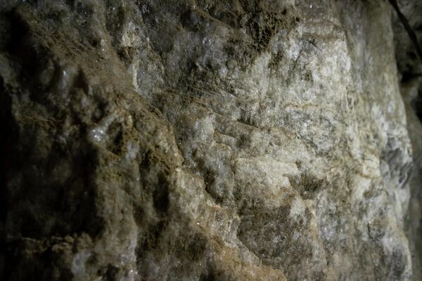 Անձավաբուժության հանրապետական կենտրոնում - Sputnik Արմենիա