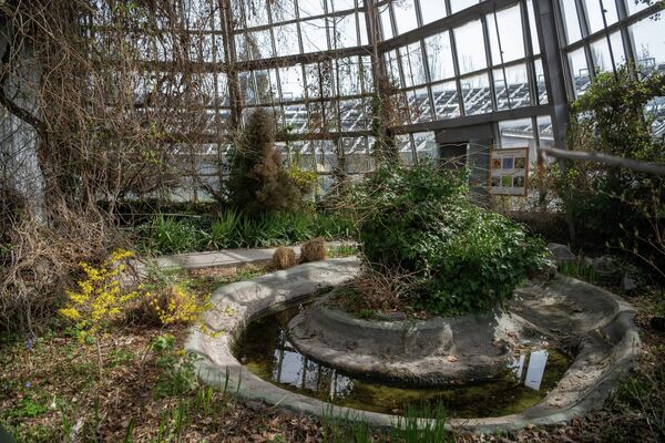 Экспонаты Института ботаники им. А.Л. Тахтаджяна  - Sputnik Армения