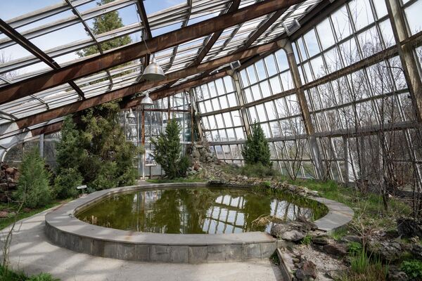 Экспонаты Института ботаники им. А.Л. Тахтаджяна  - Sputnik Армения