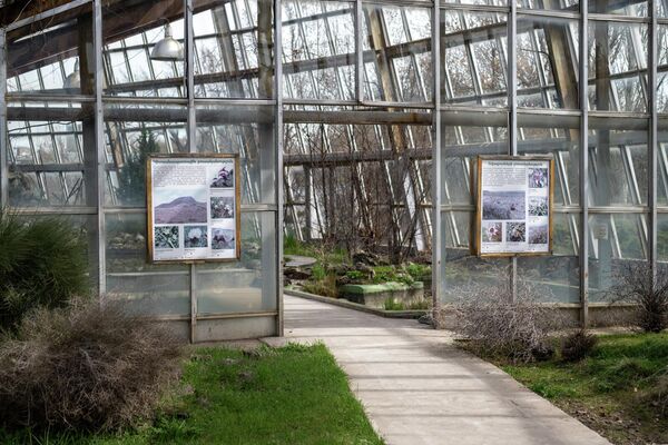 Экспонаты Института ботаники им. А.Л. Тахтаджяна  - Sputnik Армения