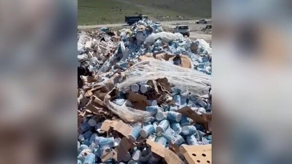 В Армении уничтожено около 9 700 кг молочной смеси NAN - Sputnik Армения