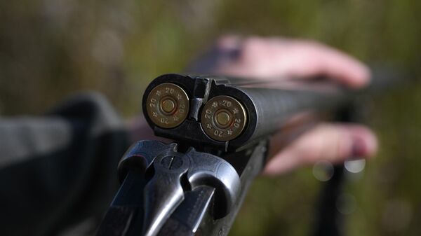 Охотничье ружье - Sputnik Армения