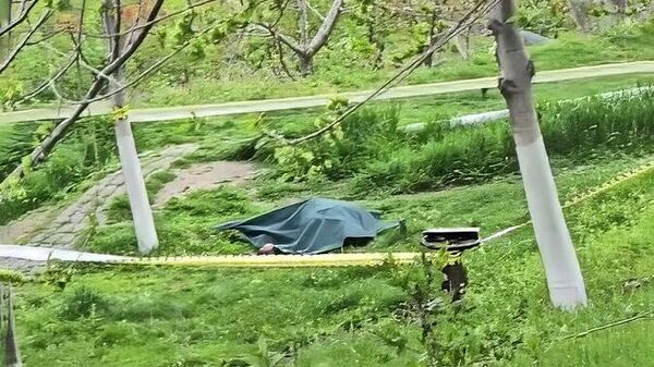 Քաղաքացին Ծիծեռնակաբերդի հուշահամալիր բարձրանալիս հանկարծամահ է եղել - Sputnik Արմենիա