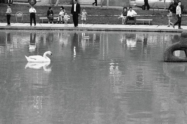 Лебединое озеро – искусственный водоём в Ереване - Sputnik Армения