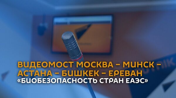 Видеомост Москва – Минск –Астана – Бишкек – Ереван на тему Биобезопасность стран ЕАЭС - Sputnik Армения