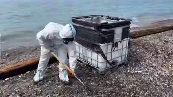 В Туапсе очищают береговую линию от загрязненного грунта и водомазутной смеси. - Sputnik Армения