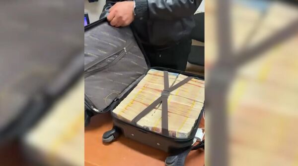 ՊԵԿ-ը բացահայտել է խոշոր չափերի` կանխիկ 72,6 մլն ռուսական ռուբլու ներկրման դեպքեր - Sputnik Արմենիա