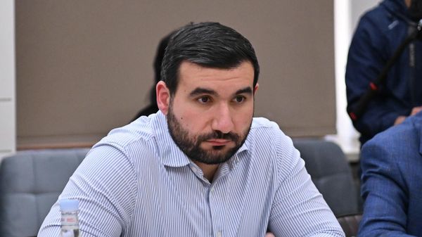 Ваагн Алексанян на заседании Постоянной комиссии по обороне и безопасности (30 апреля 2026). Еревaн - Sputnik Армения