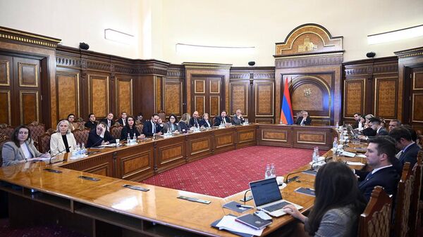 Հանդիպման ժամանակ - Sputnik Արմենիա