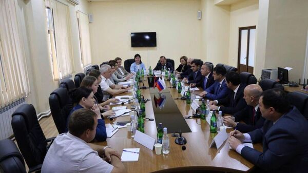 Հանդիպման ժամանակ - Sputnik Արմենիա