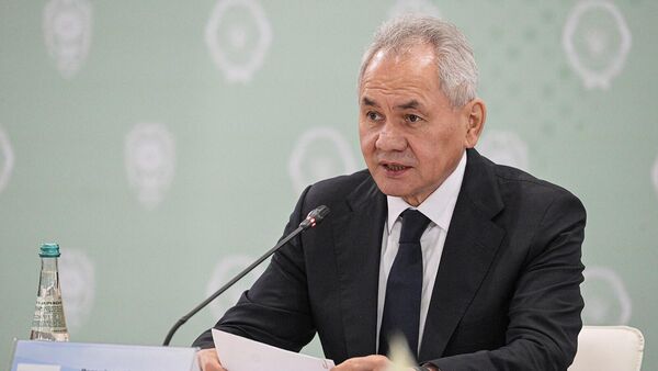 Секретарь Совета безопасности РФ Сергей Шойгу  - Sputnik Армения