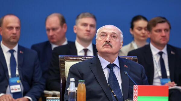 Президент Белоруссии Александр Лукашенко выступает во время заседания Высшего Евразийского экономического совета в расширенном составе (29 мая 2026). Астана - Sputnik Армения