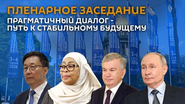 Пленарное заседание Прагматичный диалог - путь к стабильному будущему - Sputnik Армения