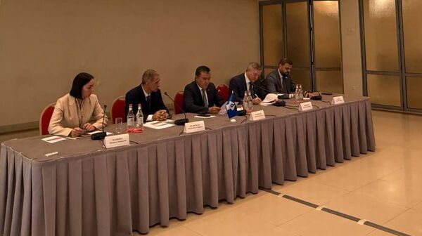 ԱՊՀ միջխորհրդարանական վեհաժողովի դիտորդական առաքելության և ԱՊՀ դիտորդական առաքելության համատեղ մամուլի ասուլիսը  - Sputnik Արմենիա