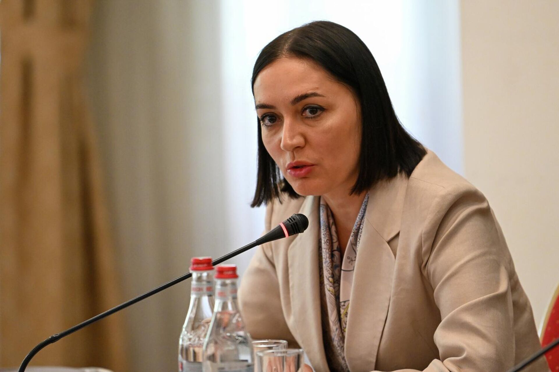 Людмила Маркина во время совместной пресс-конференции Миссии наблюдателей Межпарламентской Ассамблеи СНГ и Миссии наблюдателей СНГ (8 июня 2026). Еревaн Людмила Маркина во время совместной пресс-конференции Миссии наблюдателей Межпарламентской Ассамблеи СНГ и Миссии наблюдателей СНГ (8 июня 2026). Еревaн - Sputnik Армения, 1920, 08.06.2026