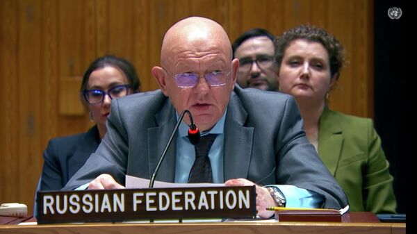 Неуклюжей провокацией назвал письмо Зеленского Путину постпред РФ при ООН - Sputnik Армения