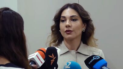 Србуи Галян общается с прессой на тему новой Конституции (10 июня 2026). Еревaн