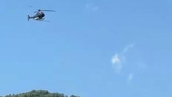 Մեկնարկել են անտառային վնասատուների և հիվանդությունների դեմ կենսաբանական պայքարի միջոցառումները - Sputnik Արմենիա