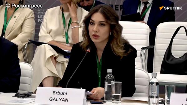 Развитие сотрудничества между странами СНГ в сфере юстиции – важное направление для Армении: глава Минюста - Sputnik Армения