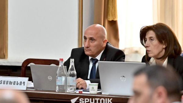Կենտրոնական ընտրական հանձնաժողովի նախագահ Վահագն Հովակիմյանն ու նախագահի տեղակալ Նունե Հովհաննիսյանը - Sputnik Արմենիա