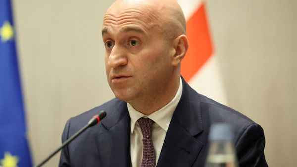 Վրաստանի ներքին գործերի նախարար Սուլխան Թամազաշվիլին  - Sputnik Արմենիա