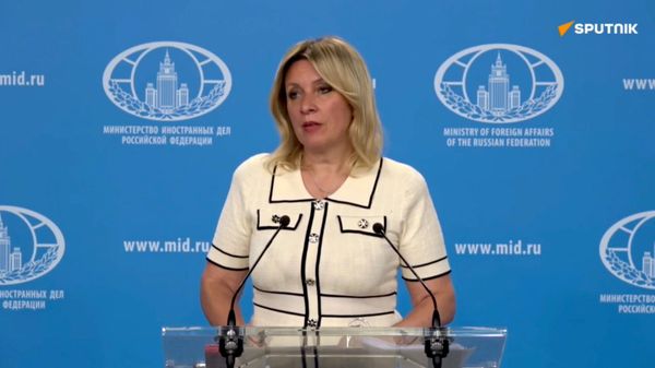 Захарова о предлагаемых поправках в ИК Армении касательно ценза оседлости - Sputnik Армения