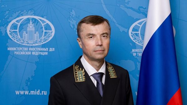 Сергей Геннадьевич Толченов — Чрезвычайный и Полномочный Посл Российской Федерации в Республике Индонезия - Sputnik Армения