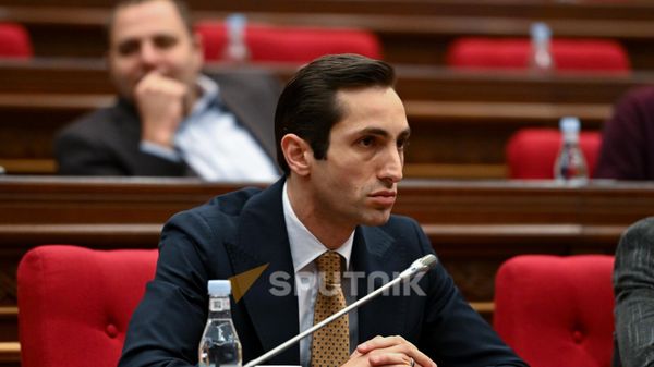 Давид Хажакян во время Парламентских слушании по предлагаемым изменениям в Избирательном кодексе РА (8 ноября 2024). Еревaн - Sputnik Армения