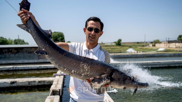 Margaryan Fish-ի հիմնադիր Սուրեն Մարգարյանը - Sputnik Արմենիա
