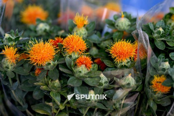 Երևանի ծաղկի շուկաներից մեկում - Sputnik Արմենիա
