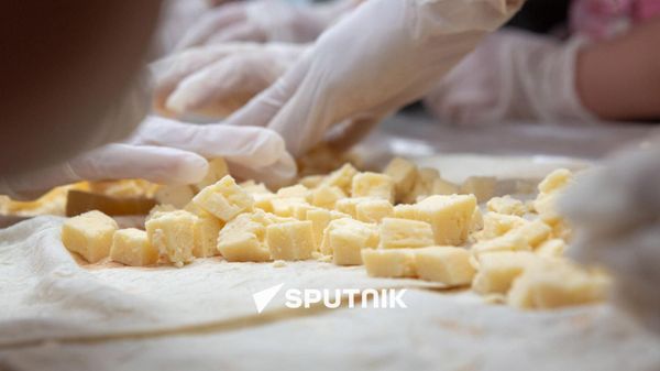 Участники фестиваля армянских трав HayBuys в Енокаване собирают бутерброд с сыром - Sputnik Армения