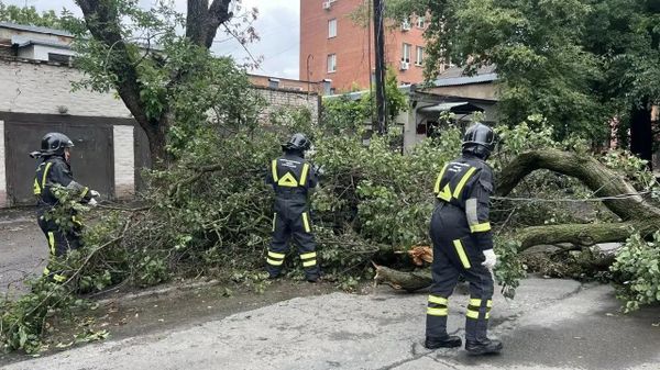 Городские службы устраняют последствия урагана (26 июля 2026). Ростов-на-Дону - Sputnik Армения