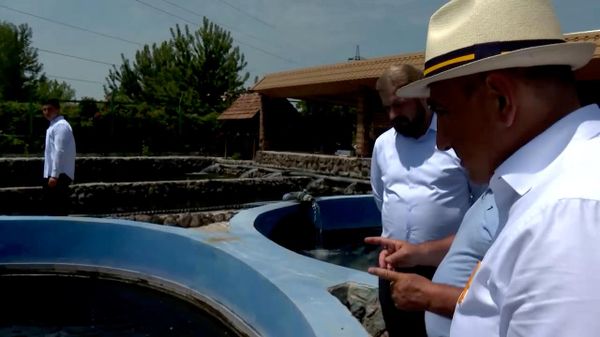 Սա ի՞նչ ա, «осетрина», թե՞ «стерлядь». Փաշինյանն այցելել է Ջրառատի ձկնաբուծարան - Sputnik Արմենիա
