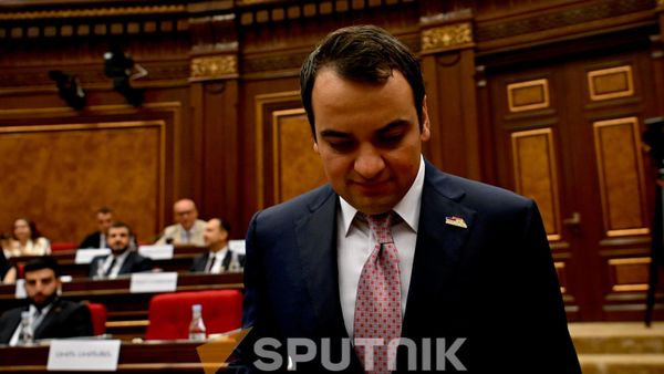 Նարեկ Կարապետյանը ԱԺ–ում - Sputnik Արմենիա