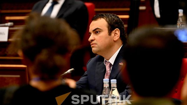 Նարեկ Կարապետյան - Sputnik Արմենիա