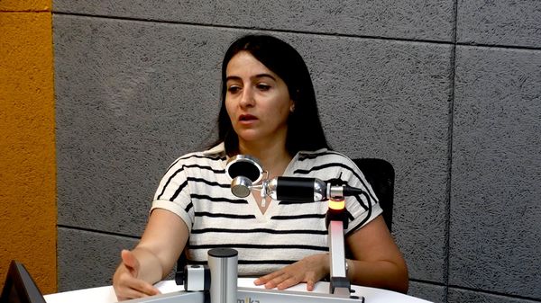Դիլեմայի մեջ ենք. ընդդիմություն-իշխանություն անվերջանալի պայքարից տուժում է ՀՀ քաղաքացին․ Աննա Կոստանյան - Sputnik Արմենիա