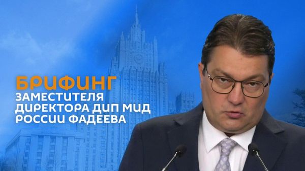 Заместитель официального представителя МИД России проводит брифинг - Sputnik Армения