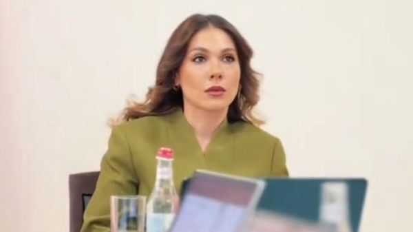 Министр Юстиции Србуи Галян во время обсуждения пакета законодательных инициатив, предусматривающих создание автономного органа по защите персональных данных (7 августа 2026). Еревaн - Sputnik Армения