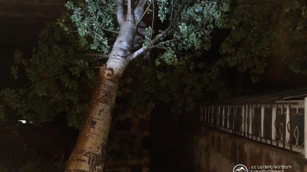Повреждения в результате сильного ветра в Ереване и областях Армении (15 августа 2026) - Sputnik Армения
