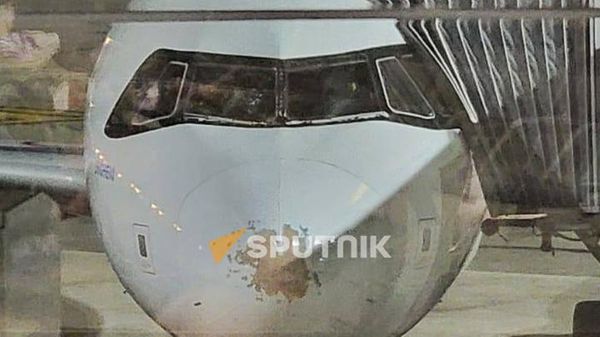 Самолет авиакомпании FlyOne рейса Барселона - Ереван в аэропорту Звартноц - Sputnik Армения