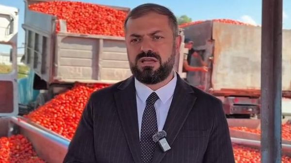 Министр экономики Геворг Папоян рассказывает о процессе закупки томатов - Sputnik Армения