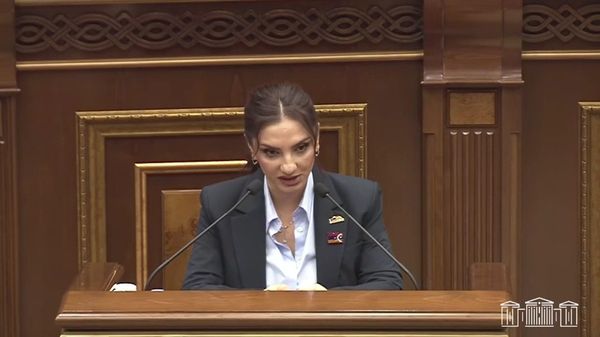 Ինձ ցավեցնելու՞ համար եք այդ հարցը տալիս. Արեգա Հովսեփյանը Արայիկ Հարությունյանին - Sputnik Արմենիա