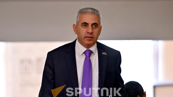 Эдгар Казарян на заседании НС (24 августа 2026). Ереван - Sputnik Армения