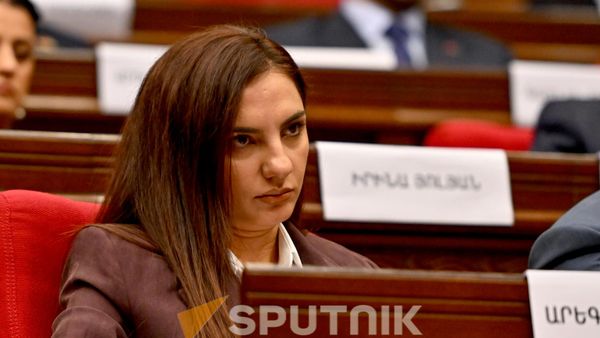 Арега Овсепян на заседании НС (24 августа 2026). Ереван - Sputnik Армения