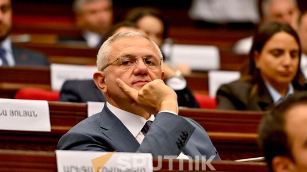 Мамикон Асланян на заседании НС (24 августа 2026). Ереван - Sputnik Армения